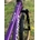 Bicicleta Infantil 24" MEGAMO KU4. VIOLETA - Imagen 1