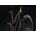 Bicicleta MTB 29¨ MMR KENTA SXC, dorado oscuro - Imagen 2