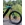 OPORTUNIDAD!!!. E-Bike MTB Bianchi E-SUV 29/27.5´ XTR. Talla L - Imagen 2